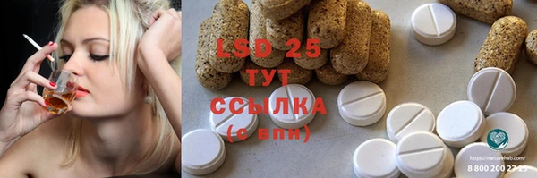 амф Щёлкино