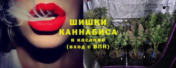 круглые Корсаков